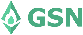 GSN (Gas Station Network)